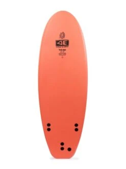 Ocean & Earth Freaks Bug 5'6" Softboard