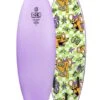 Ocean & Earth Brains Ezi-Rider 5'6" Softboard