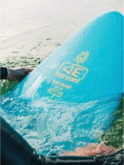Ocean & Earth Brains Ezi-Rider 8'0" Softboard -Sports-Surfing-Ocean & Earth 1672246684 014fab7dac881a3fae321c98a1597660